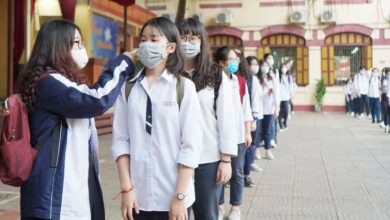 Học sinh một số lớp ngoại thành Hà Nội đi học từ ngày 8/11 Học sinh một số lớp ngoại thành Hà Nội đi học từ ngày 8/11