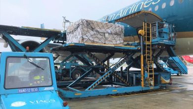 Vietnam Airlines vận chuyển an toàn vaccine và vật tư y tế từ Hungary, Croatia và Slovakia về Việt Nam Vietnam Airlines vận chuyển an toàn vaccine và vật tư y tế từ Hungary, Croatia và Slovakia về Việt Nam