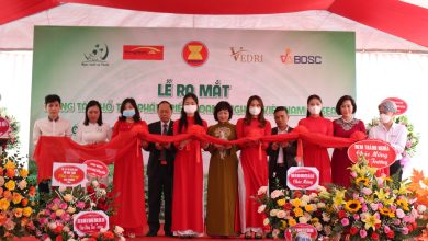 Lễ ra mắt Trung tâm Hỗ trợ Phát triển Doanh nghiệp Việt Nam – Asean Lễ ra mắt Trung tâm Hỗ trợ Phát triển Doanh nghiệp Việt Nam – Asean