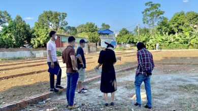 Chống “đầu cơ” bất động sản – Cần sớm đưa công cụ thuế vào quản lý Chống “đầu cơ” bất động sản – Cần sớm đưa công cụ thuế vào quản lý