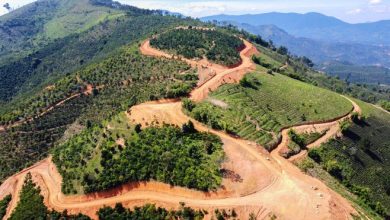 Xẻ cả quả đồi làm đường không phép ở Bảo Lâm Xẻ cả quả đồi làm đường không phép ở Bảo Lâm