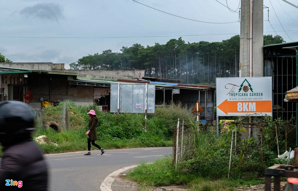 Dự án bất động sản giữa rừng ở Bảo Lâm bị điều tra sai phạm