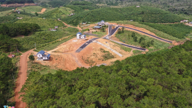 Dự án bất động sản giữa rừng ở Bảo Lâm bị điều tra sai phạm