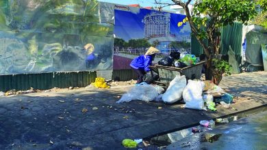 Những khu “đất vàng” bỏ hoang tại Hạ Long Những khu “đất vàng” bỏ hoang tại Hạ Long