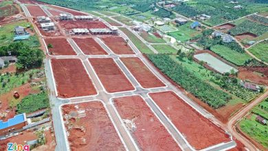 Lâm Đồng yêu cầu tạm dừng 2 dự án cạo trọc đồi làm biệt thự Lâm Đồng yêu cầu tạm dừng 2 dự án cạo trọc đồi làm biệt thự