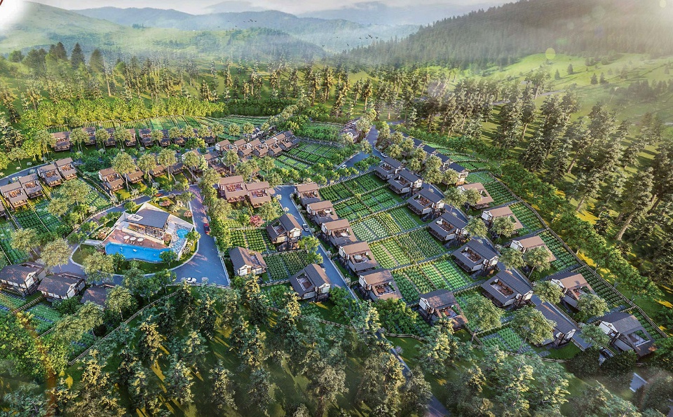 Dự án bất động sản giữa rừng ở Bảo Lâm bị điều tra sai phạm