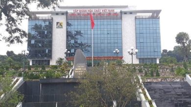 Lào Cai: “Núp bóng” dự án khách sạn để “ăn cắp” tài nguyên Lào Cai: “Núp bóng” dự án khách sạn để “ăn cắp” tài nguyên