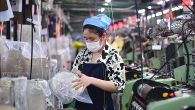 Các doanh nghiệp châu Âu lên kế hoạch tăng đầu tư tại Việt Nam