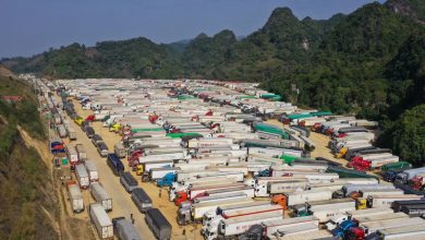 Ùn tắc nông sản biên giới: Tăng cường liên kết vùng trồng và nhà máy Ùn tắc nông sản biên giới: Tăng cường liên kết vùng trồng và nhà máy