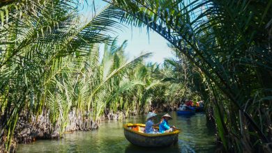 Báo nước ngoài gợi ý khám phá Việt Nam từ mặt nước