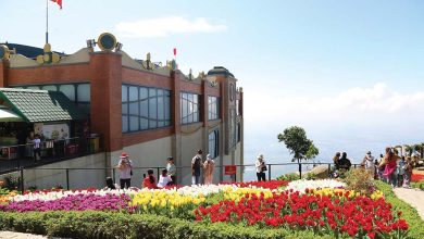 Mở hoàn toàn du lịch quốc tế: “Sa mạc đón mưa” Mở hoàn toàn du lịch quốc tế: “Sa mạc đón mưa”