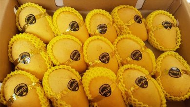 Thực thi “Tư duy mở - Hành động nhanh - Kết quả thật” Thực thi “Tư duy mở - Hành động nhanh - Kết quả thật”