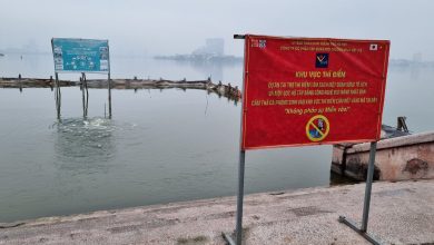 Hàng rào vẫn bao quanh dự án dù đã dừng thí điểm làm sạch hồ Tây Hàng rào vẫn bao quanh dự án dù đã dừng thí điểm làm sạch hồ Tây