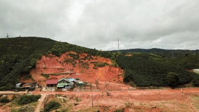 Doanh nghiệp tự ý san ủi đất rừng ở Vườn quốc gia Bidoup - Núi Bà Doanh nghiệp tự ý san ủi đất rừng ở Vườn quốc gia Bidoup - Núi Bà