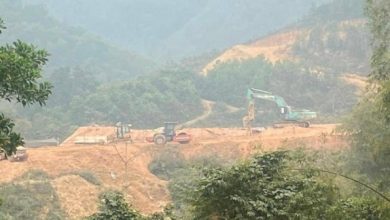 Hàng loạt vi phạm tại các dự án trồng rừng ở Hòa Bình