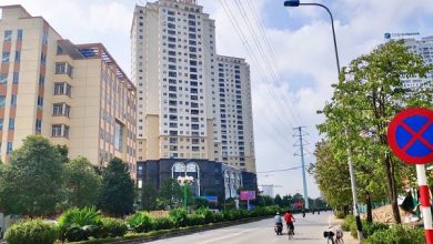 Doanh nghiệp chây ỳ nộp tiền đất
