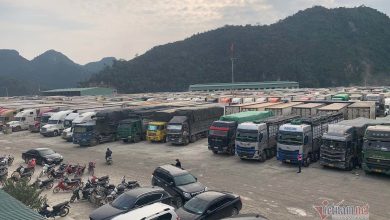 Cửa khẩu quá tải, Lạng Sơn dừng tiếp nhận xe chở hoa quả tươi Cửa khẩu quá tải, Lạng Sơn dừng tiếp nhận xe chở hoa quả tươi