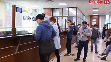 Hải Phòng: Số hoá trong hoạt động của các doanh nghiệp thế nào?