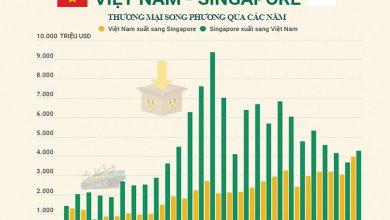 Hối hả tái thiết con tàu Việt Hối hả tái thiết con tàu Việt