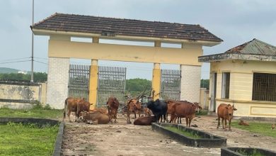 Hà Tĩnh: Lãng phí nguồn ngân sách hàng chục tỷ từ công trình khu tái định cư Hà Tĩnh: Lãng phí nguồn ngân sách hàng chục tỷ từ công trình khu tái định cư