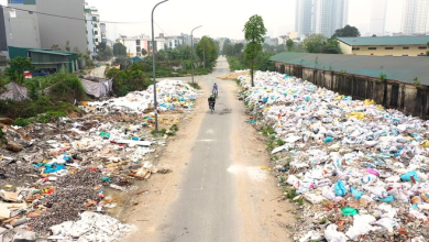 Phế thải xây dựng chất đống, phủ kín đường dân sinh Phế thải xây dựng chất đống, phủ kín đường dân sinh