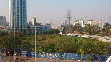 Hải Phòng: Ưu đãi đất vàng vẫn bị bỏ hoang