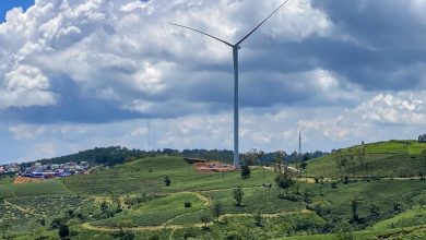 Lâm Đồng muốn bổ sung thêm 4 dự án điện gió Lâm Đồng muốn bổ sung thêm 4 dự án điện gió