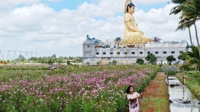 Nhiều điểm du lịch hút khách ở xứ Bạc Liêu