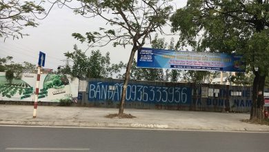 Hải Phòng: Sẽ cưỡng chế thu hồi đất "vàng" bỏ hoang 14 năm
