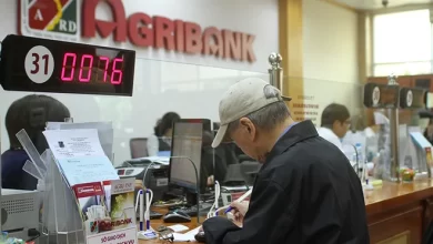 Agribank rao bán hàng nghìn m2 đất và biệt thự để xử lý nợ Agribank rao bán hàng nghìn m2 đất và biệt thự để xử lý nợ