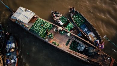 Loạt báo quốc tế ca ngợi Việt Nam là điểm đến hấp dẫn