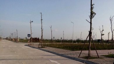 "Khó” xử lý việc chậm nộp tiền trúng đấu giá đất