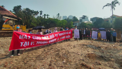 Lấp hồ Bà Đồ: Đừng làm mất "lá phổi xanh" hiếm hoi của Hà Nội Lấp hồ Bà Đồ: Đừng làm mất "lá phổi xanh" hiếm hoi của Hà Nội