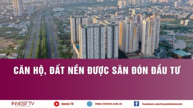 Căn hộ, đất nền được săn đón đầu tư Căn hộ, đất nền được săn đón đầu tư