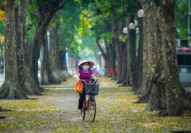 ‘Phố Sấu’ Hà Nội ‘Phố Sấu’ Hà Nội