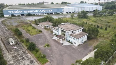 Nữ đại gia không thể cứu Thép Sông Hồng Nữ đại gia không thể cứu Thép Sông Hồng