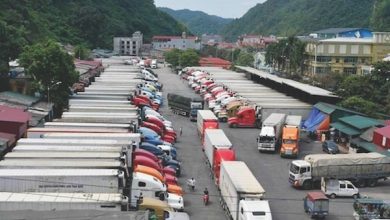 Chiến lược sản xuất tiêu thụ nông sản còn luẩn quẩn, bế tắc Chiến lược sản xuất tiêu thụ nông sản còn luẩn quẩn, bế tắc