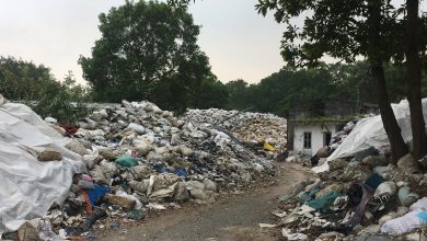 Hàng trăm tấn rác thải được tập kết trái phép tại Hải Phòng: Chủ cơ sở chây ỳ di dời