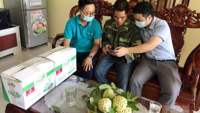 Thí điểm mỗi thôn, bản thành lập một tổ công nghệ số cộng đồng Thí điểm mỗi thôn, bản thành lập một tổ công nghệ số cộng đồng