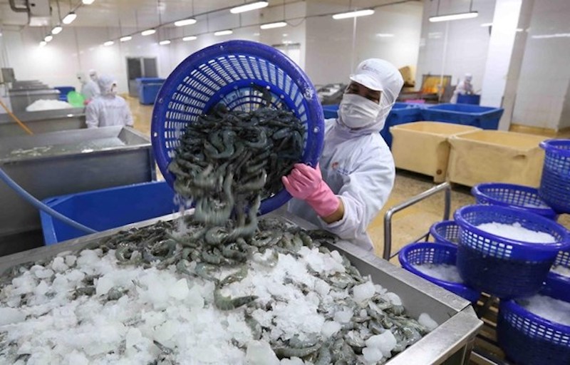 Chưa có chủ trương hoãn, doanh nghiệp sẽ phải đóng phí cảng biển từ 1/4 Chưa có chủ trương hoãn, doanh nghiệp sẽ phải đóng phí cảng biển từ 1/4