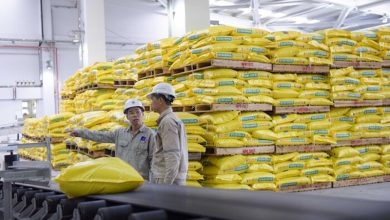 Doanh nghiệp phân bón chịu tác động từ căng thẳng Nga- Ukraine Doanh nghiệp phân bón chịu tác động từ căng thẳng Nga- Ukraine