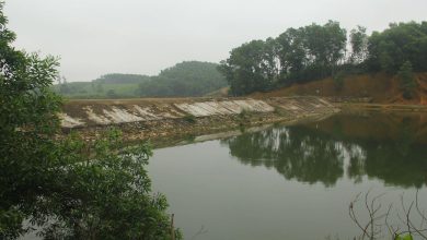 Nghệ An: Đập Hống Vàng xây chưa xong...đã hỏng Nghệ An: Đập Hống Vàng xây chưa xong...đã hỏng