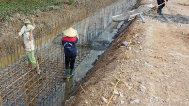 Nghệ An: Một nhà thầu dễ dàng “bao sân” hàng loạt gói thầu tiền tỷ Nghệ An: Một nhà thầu dễ dàng “bao sân” hàng loạt gói thầu tiền tỷ