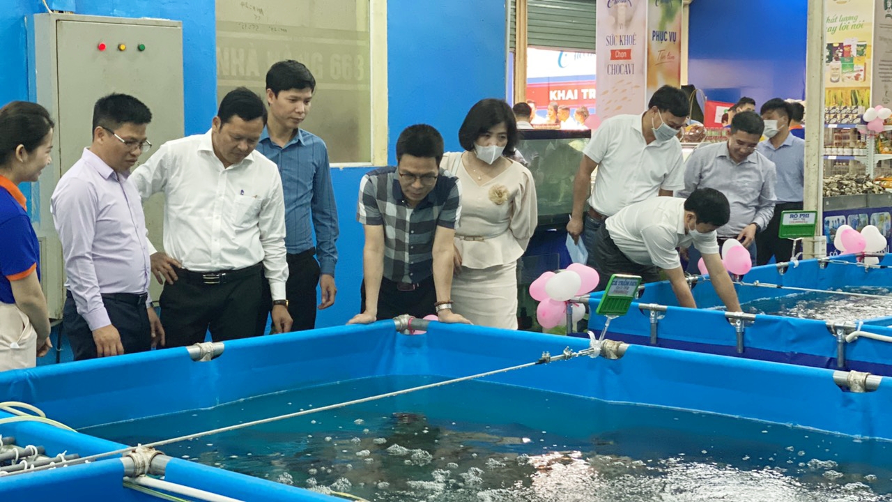 Thêm nhiều chuỗi thủy sản an toàn cho người dân Thủ đô Thêm nhiều chuỗi thủy sản an toàn cho người dân Thủ đô