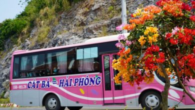 Tạm dừng đưa ôtô con ra Cát Bà dịp lễ, di chuyển thế nào?