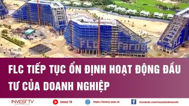 FLC tiếp tục ổn định hoạt động đầu tư của doanh nghiệp FLC tiếp tục ổn định hoạt động đầu tư của doanh nghiệp