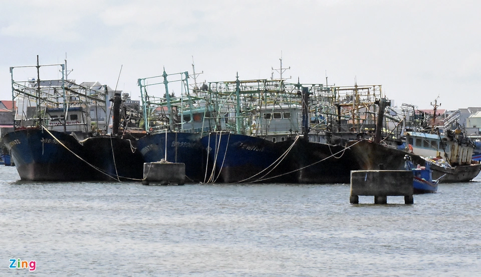 Tàu thép hàng chục tỷ gỉ sét bỏ hoang ở cảng biển miền Trung Tàu thép hàng chục tỷ gỉ sét bỏ hoang ở cảng biển miền Trung