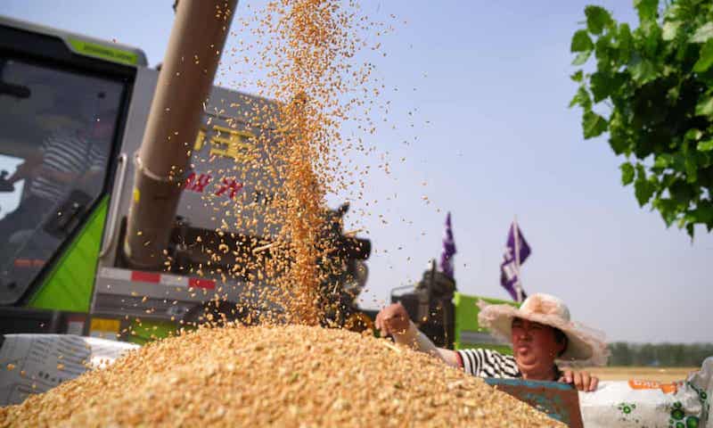 Việt Nam cần làm gì với nguy cơ Việt Nam cần làm gì với nguy cơ