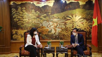 Thêm nhiều cơ hội đầu tư cho doanh nghiệp Việt Nam - Bulgaria