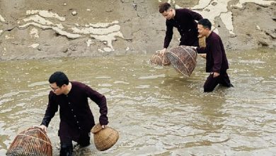 Hải Phòng: Du lịch nông thôn – “mỏ vàng” chờ khai thác